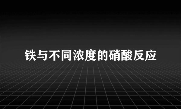 铁与不同浓度的硝酸反应