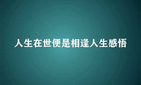 人生在世便是相逢人生感悟