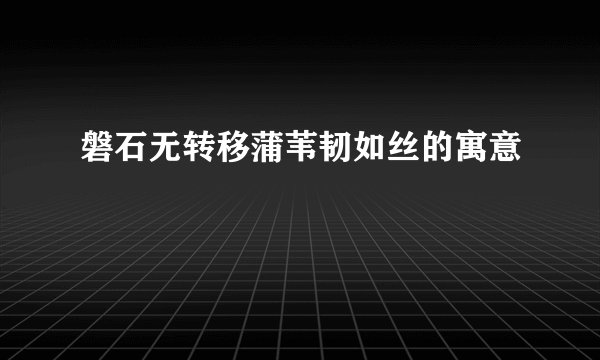 磐石无转移蒲苇韧如丝的寓意