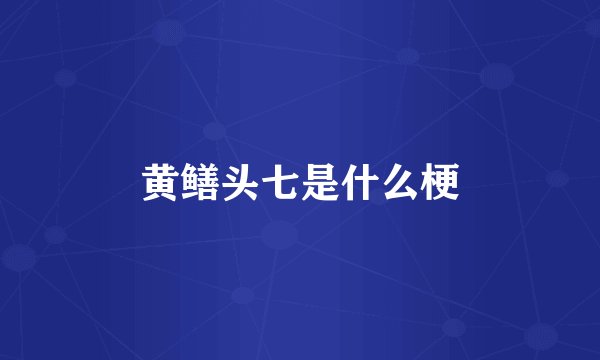 黄鳝头七是什么梗
