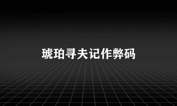 琥珀寻夫记作弊码