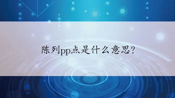 陈列pp点是什么意思?