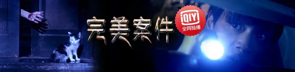 完美案件的介绍