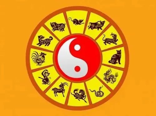 十二生肖各属什么星座 十二生肖配对十二星座有哪些