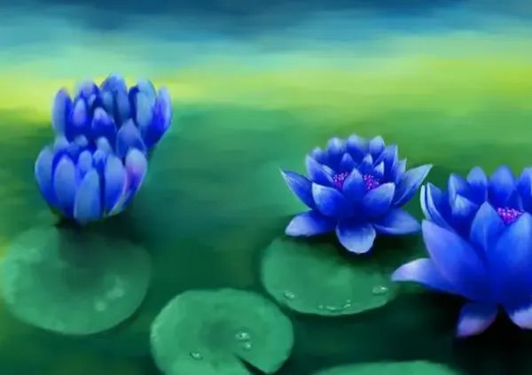 蓝莲花原唱