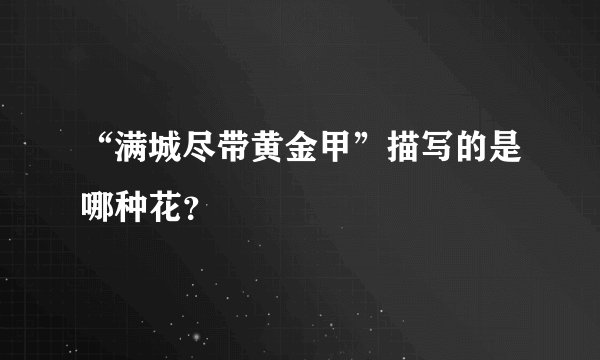 “满城尽带黄金甲”描写的是哪种花？