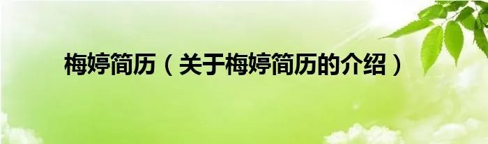 梅婷简历（关于梅婷简历的介绍）