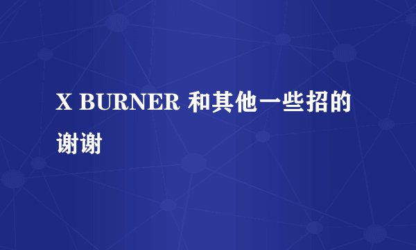 X BURNER 和其他一些招的 谢谢