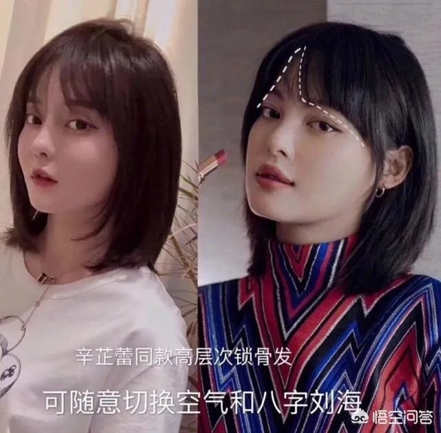 辛芷蕾的发型适合什么脸型的人?