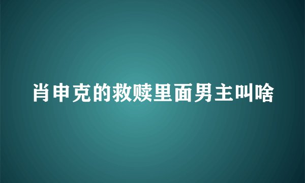 肖申克的救赎里面男主叫啥