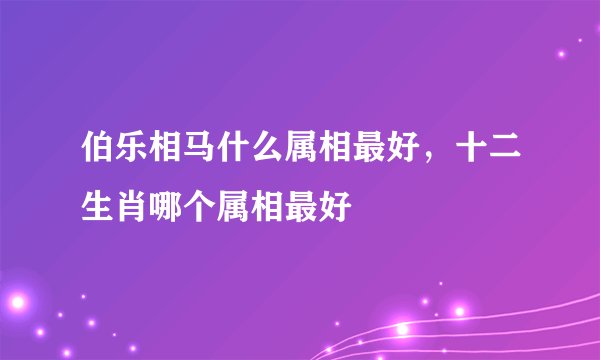 伯乐相马什么属相最好，十二生肖哪个属相最好
