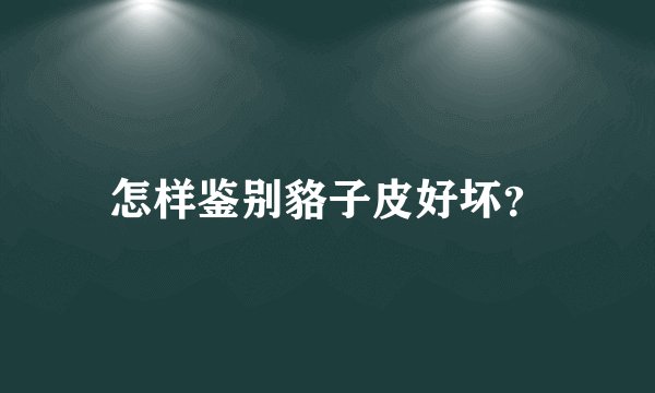 怎样鉴别貉子皮好坏？