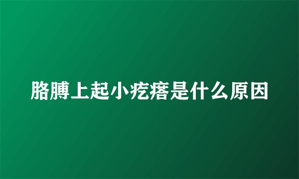 胳膊上起小疙瘩是什么原因