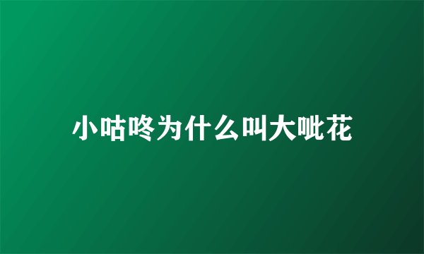 小咕咚为什么叫大呲花