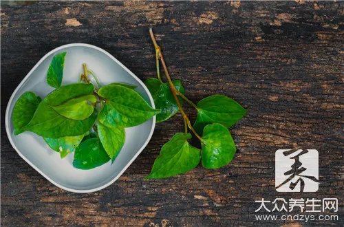新房放什么植物除甲醛