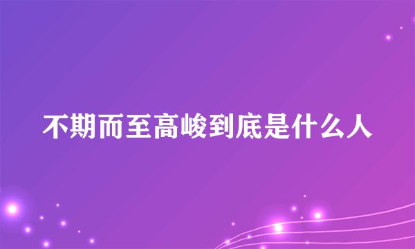 不期而至高峻到底是什么人