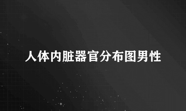 人体内脏器官分布图男性