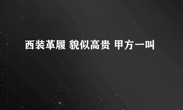西装革履 貌似高贵 甲方一叫