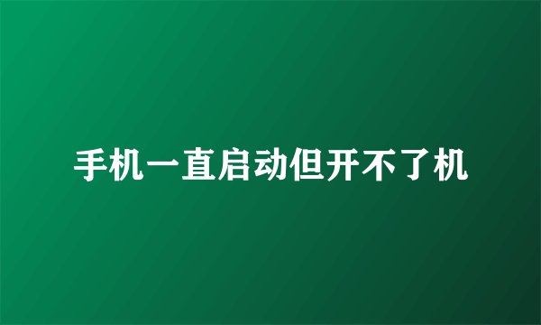 手机一直启动但开不了机
