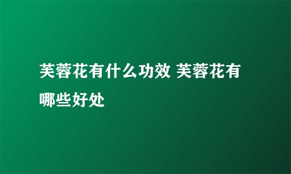 芙蓉花有什么功效 芙蓉花有哪些好处