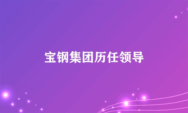 宝钢集团历任领导