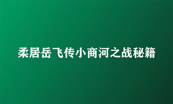 柔居岳飞传小商河之战秘籍