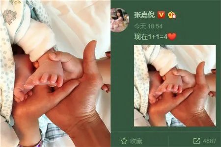 张嘉倪诞下二胎 一家四口好幸福