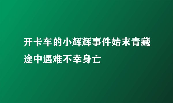 开卡车的小辉辉事件始末青藏途中遇难不幸身亡