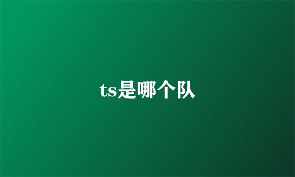 ts是哪个队
