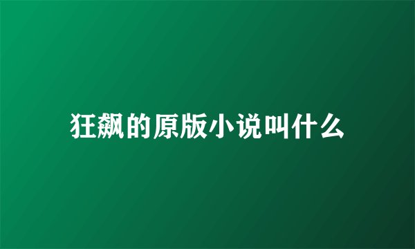 狂飙的原版小说叫什么