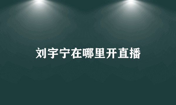 刘宇宁在哪里开直播