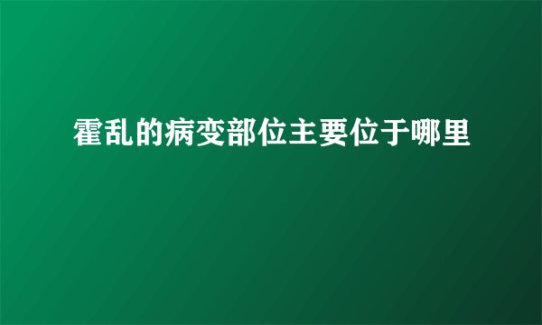 霍乱的病变部位主要位于哪里