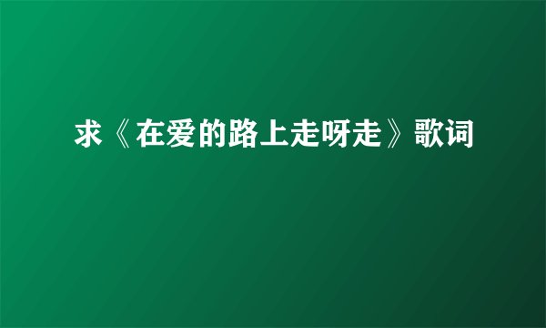 求《在爱的路上走呀走》歌词