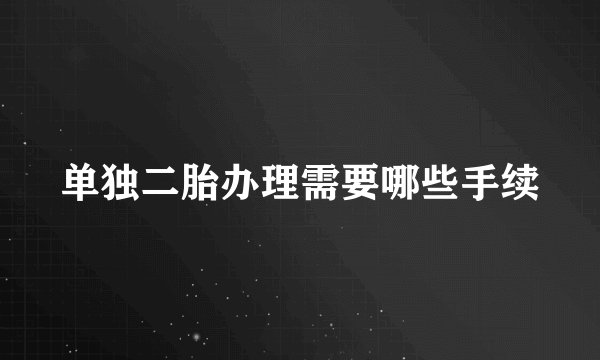 单独二胎办理需要哪些手续