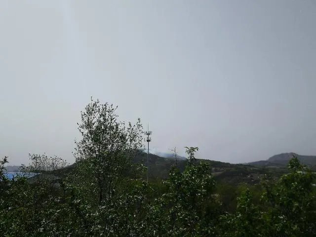 小珠山大火会影响动物园吗？经过一晚上的灭火什么进展了？