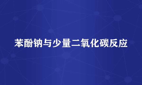 苯酚钠与少量二氧化碳反应