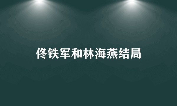 佟铁军和林海燕结局