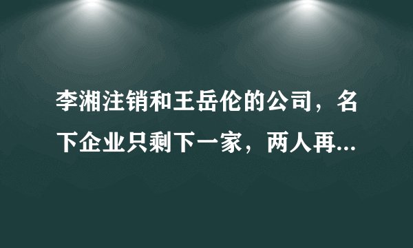 李湘注销和王岳伦的公司，名下企业只剩下一家，两人再无商业关联