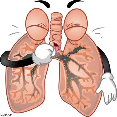 肺炎能治好吗  三种方法帮你治好肺炎