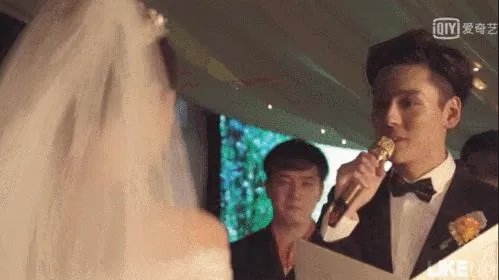魏哲鸣老婆王岚个人资料照片:魏哲鸣王岚婚纱照