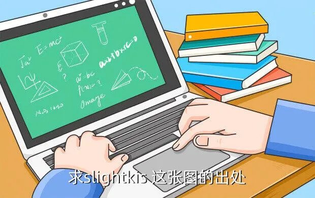 407sw，求slightkis 这张图的出处