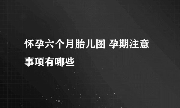 怀孕六个月胎儿图 孕期注意事项有哪些