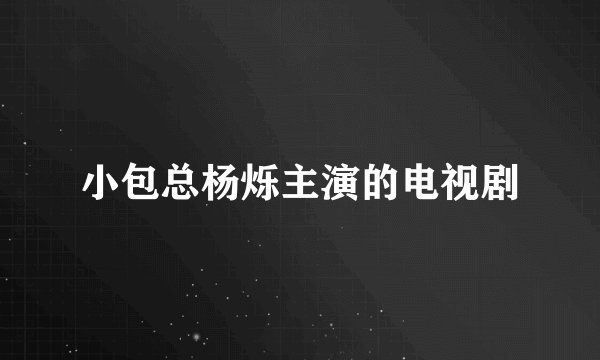 小包总杨烁主演的电视剧