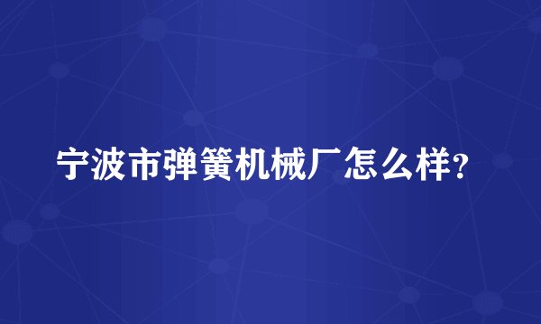宁波市弹簧机械厂怎么样？